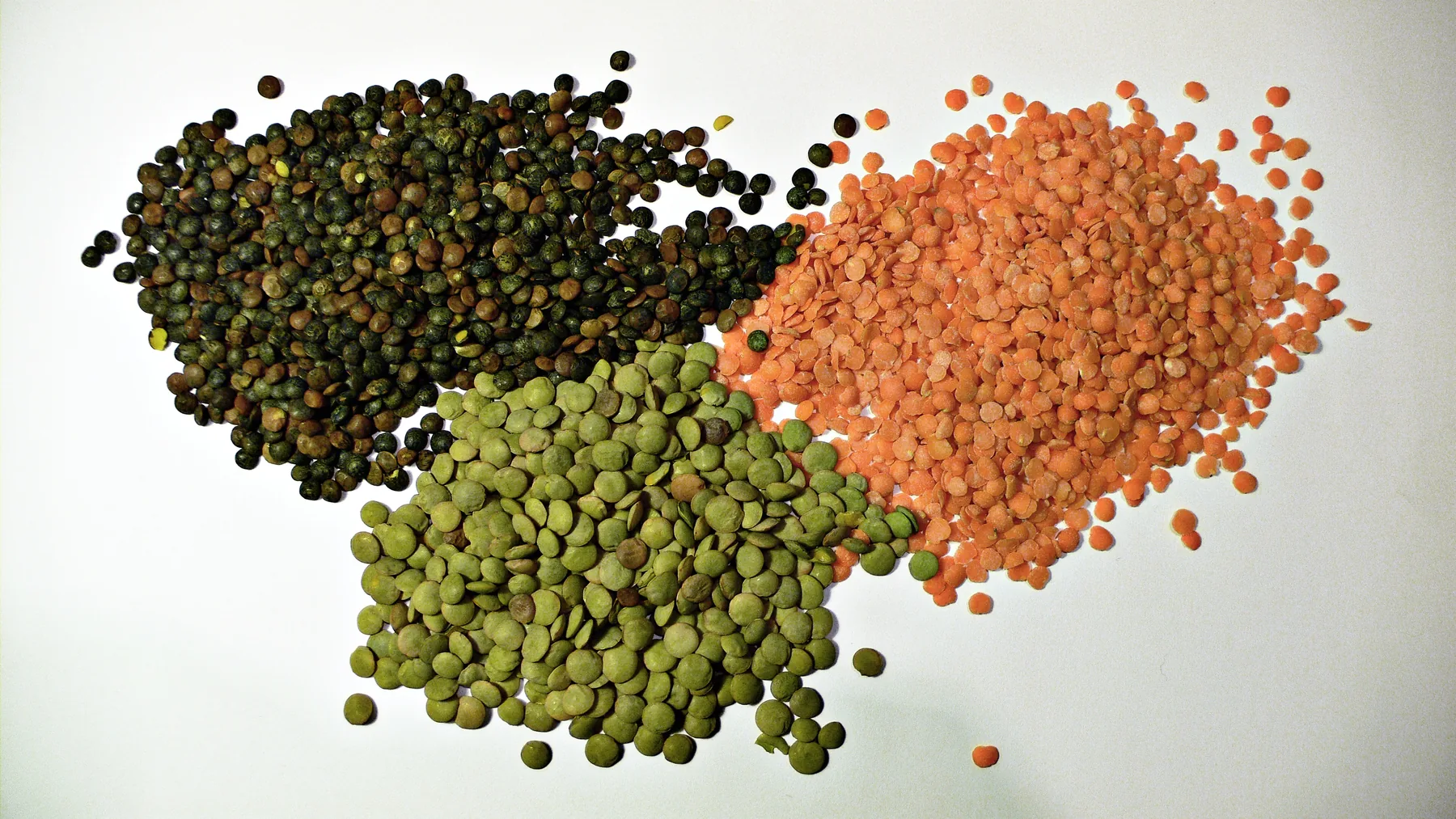 Red, green and puy lentils for pulse exports